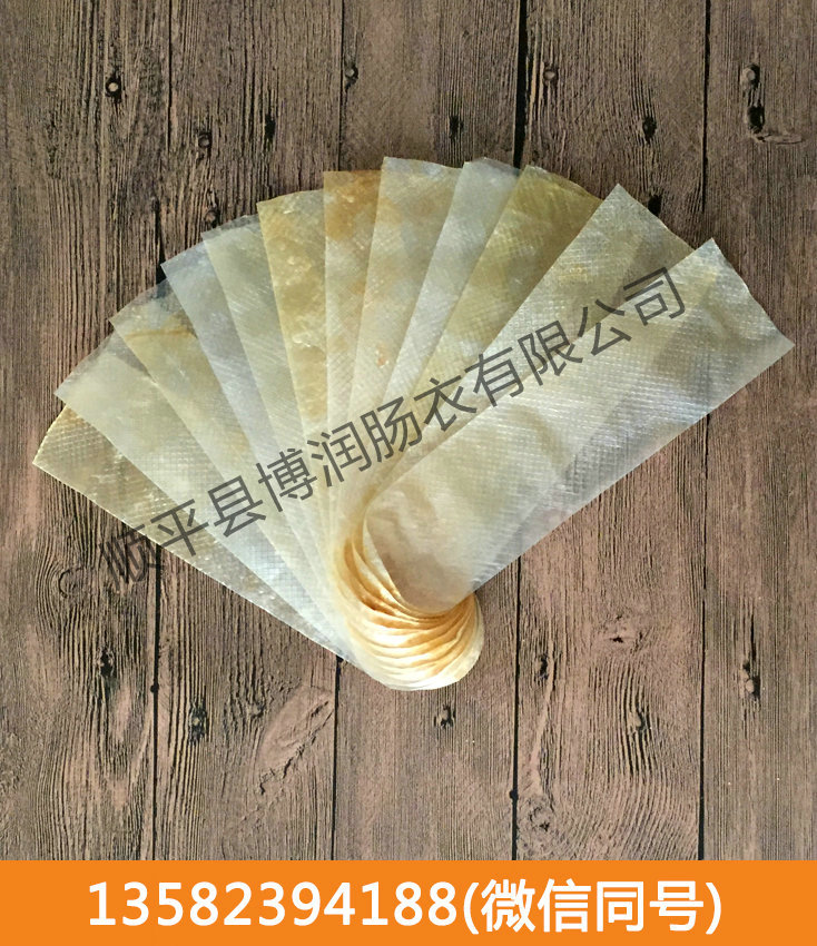 看片在线观看网站