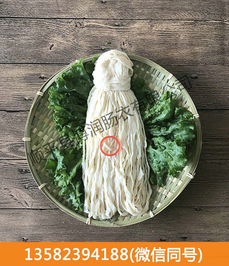 看片在线观看